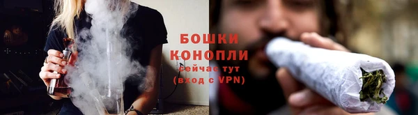 ГАЛЛЮЦИНОГЕННЫЕ ГРИБЫ Нязепетровск