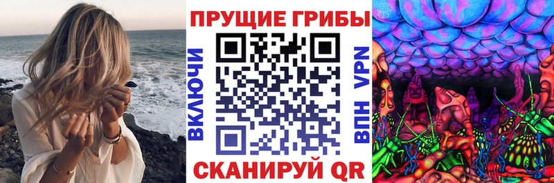 Галлюциногенные грибы GOLDEN TEACHER  Кисловодск 